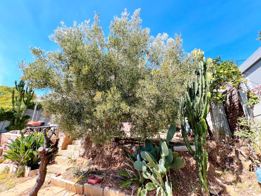 1 Bedroom Property for Sale in Green Point Western Cape